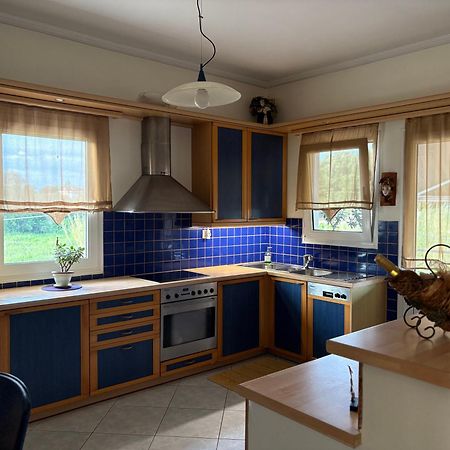 Villa Oneiropagida プレベザ エクステリア 写真