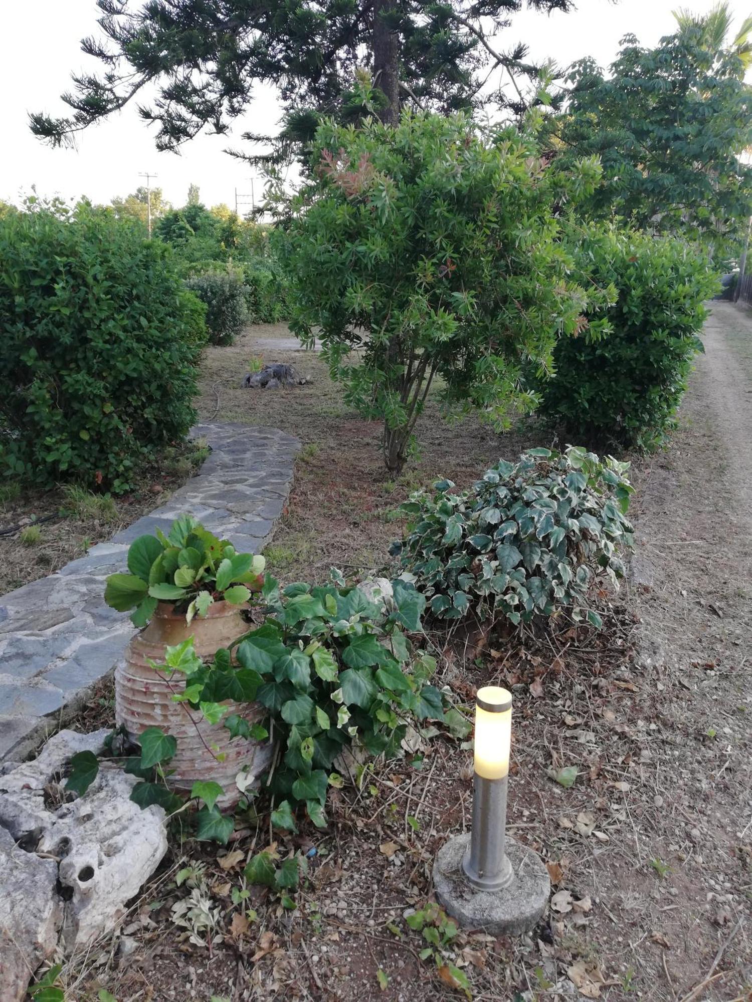 Villa Oneiropagida プレベザ エクステリア 写真