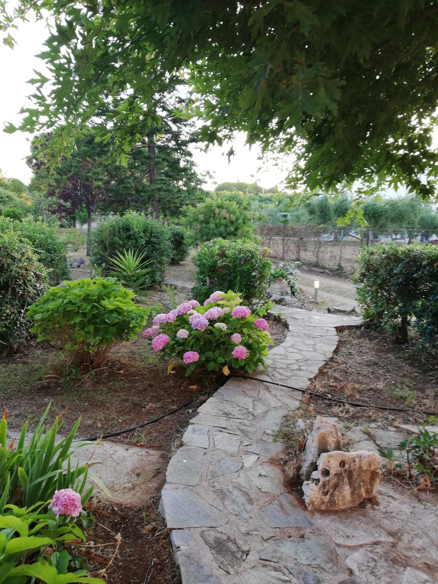 Villa Oneiropagida プレベザ エクステリア 写真